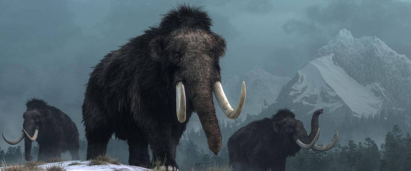 ���±�����������̽���ռǣ���Խ������ǧ��ĵ����Ļ��ܷ� ...