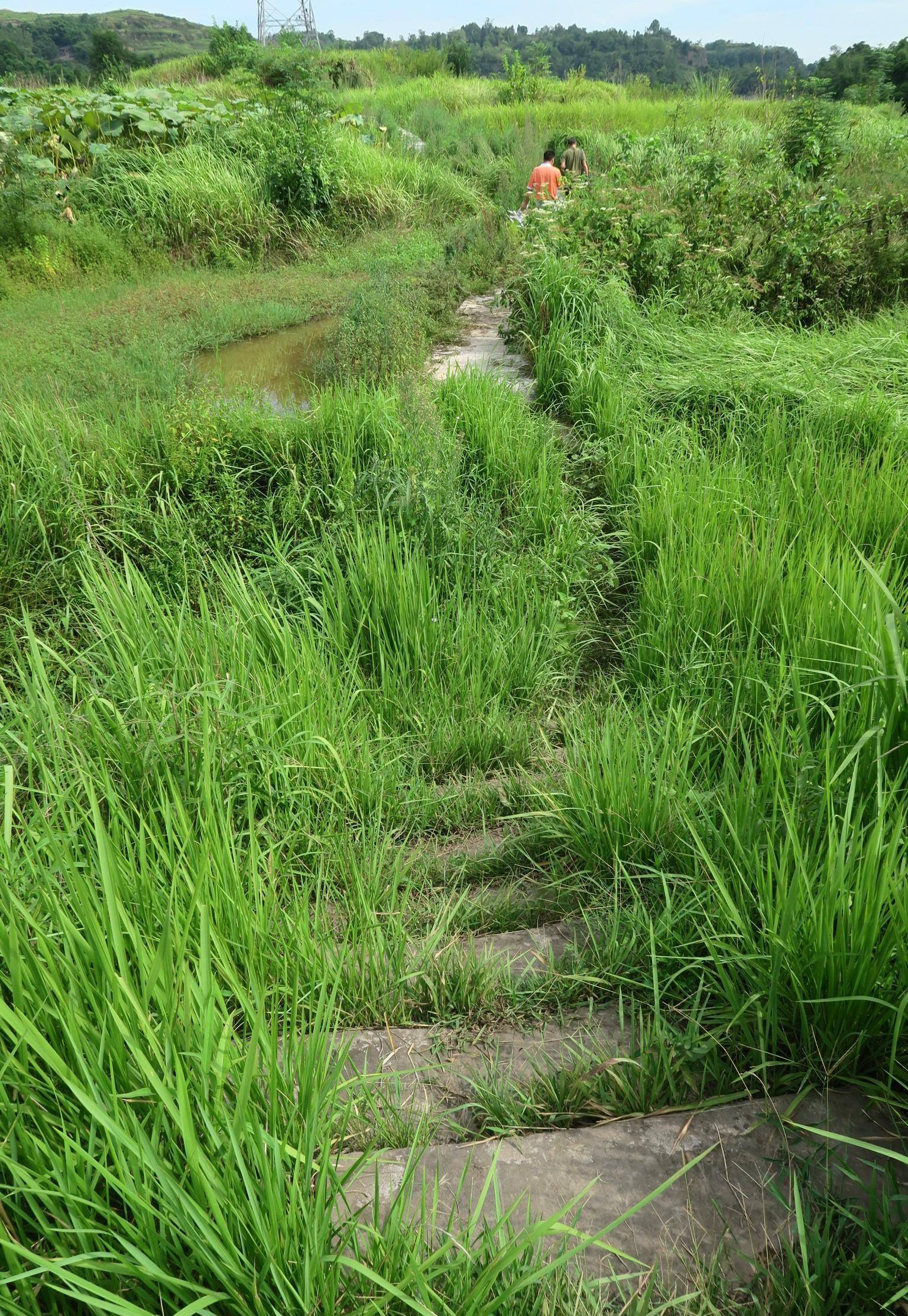 片子《抓壮丁》的布景地和拍摄地-接官亭村