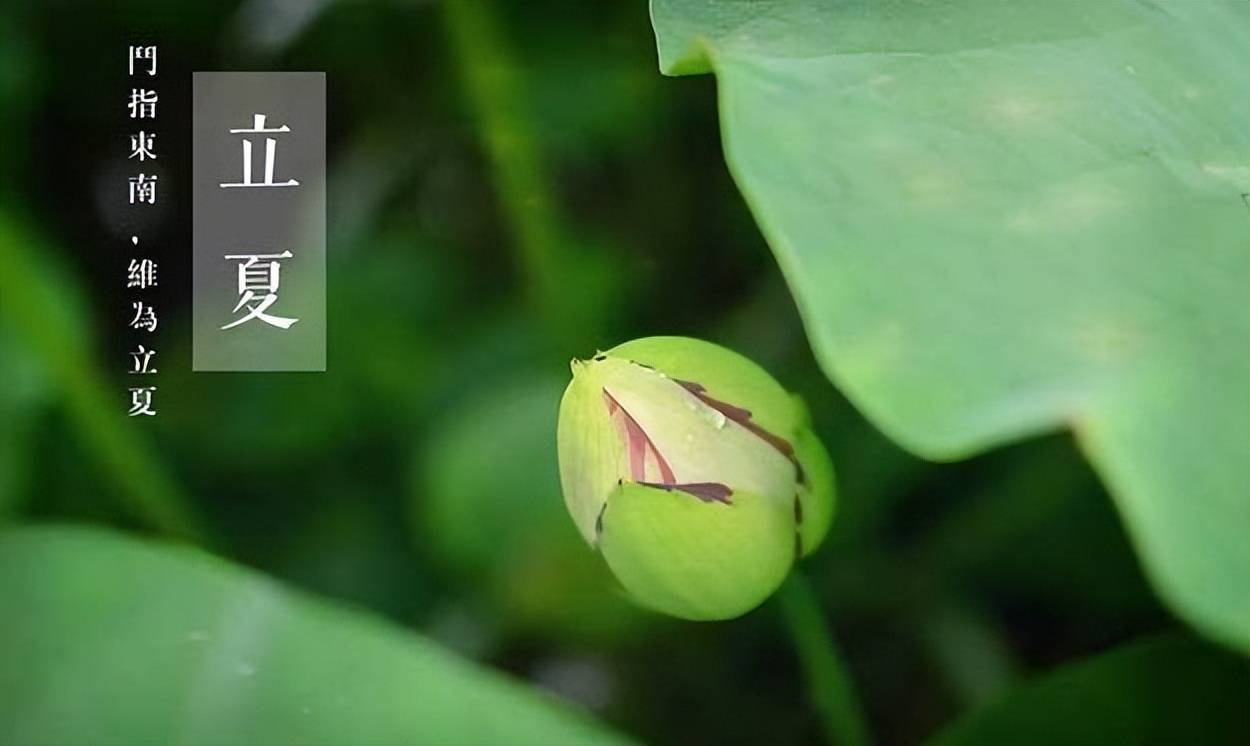 【原创诗词】侯庆红 | 抛开名利等闲看，腹有诗书第一流（七律十首）