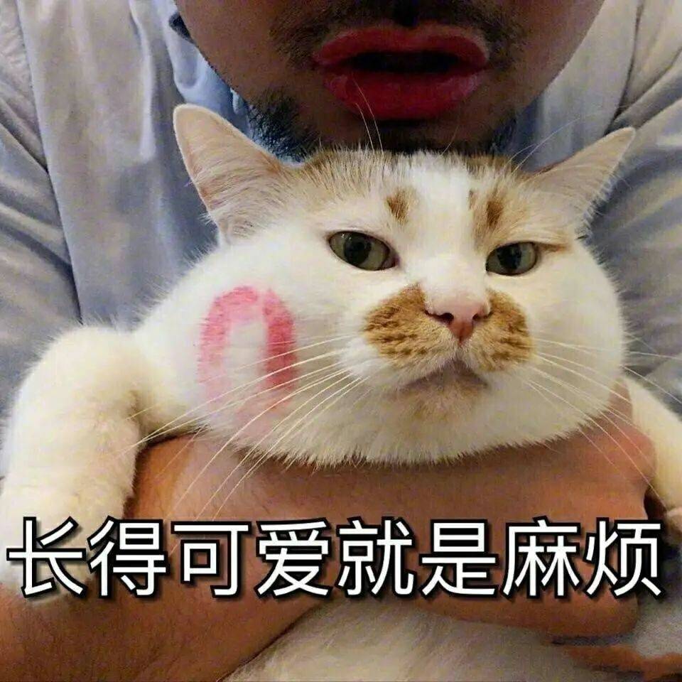 乾隆太会给猫起名字了吧！我只会：咪咪！