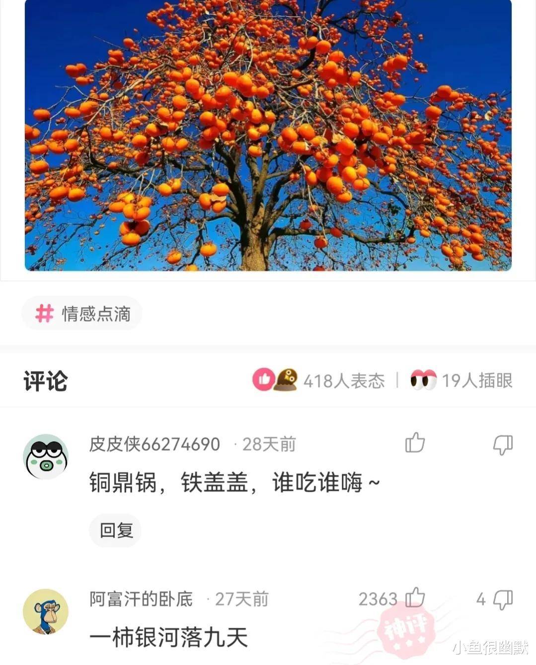 “若是病院有我如许的医生，你多久去一次病院？”哈哈哈