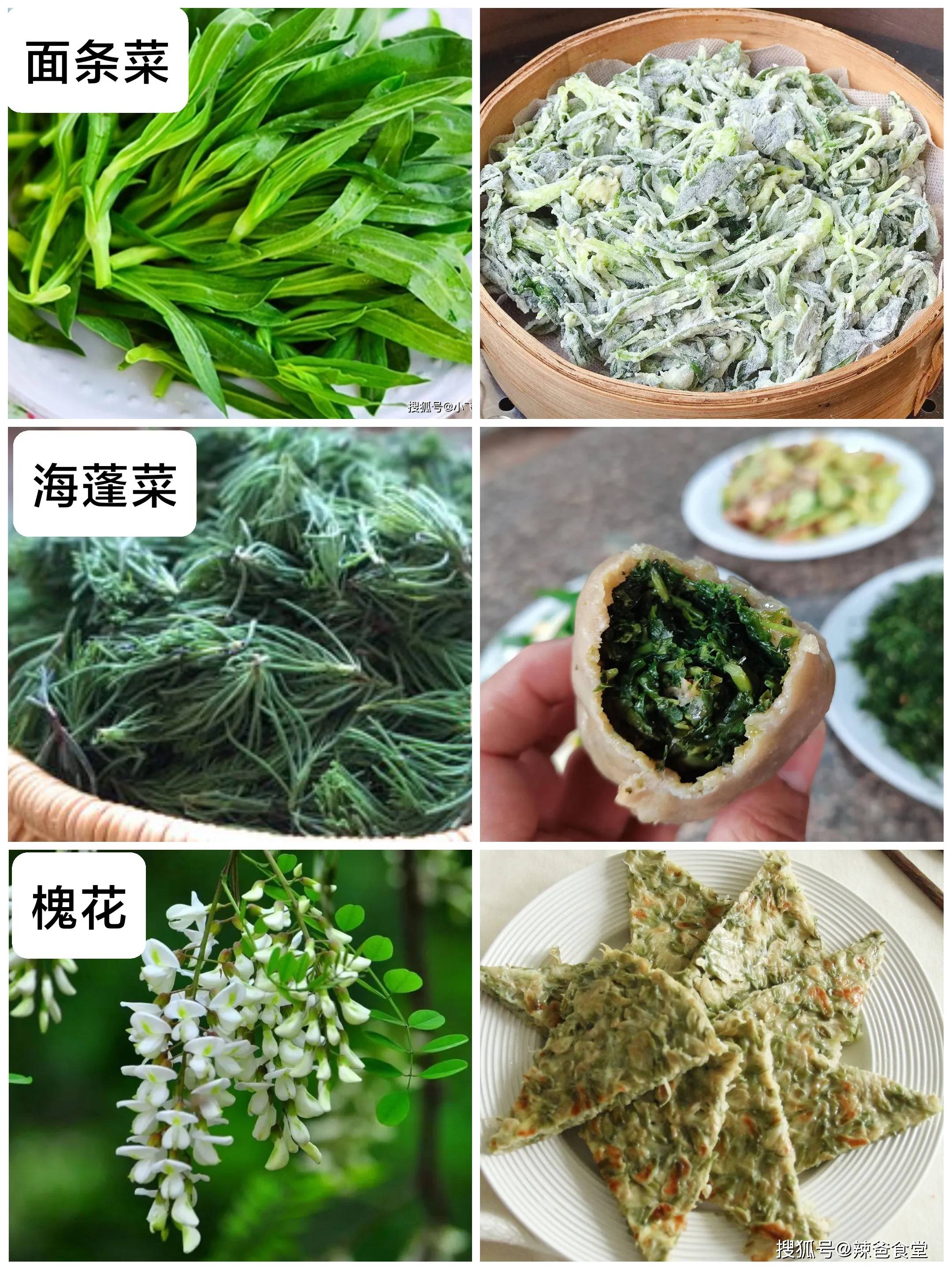 春天吃什么？那些春天“当季”美食，错过就要等一年，赶紧享用！