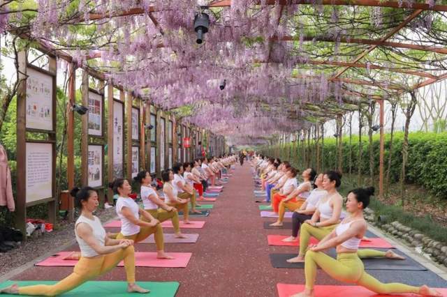 四川健博会探秘之：中医药安康旅游篇