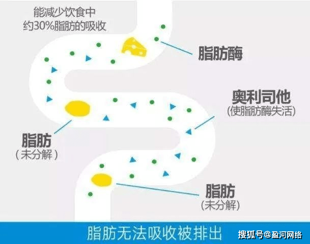 想要春季减肥变女神？喝那些茶就能够——森迪