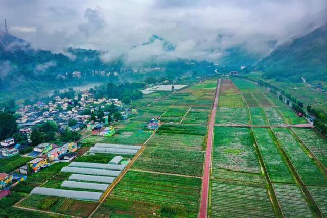 四川健博会探秘之：中医药安康旅游篇