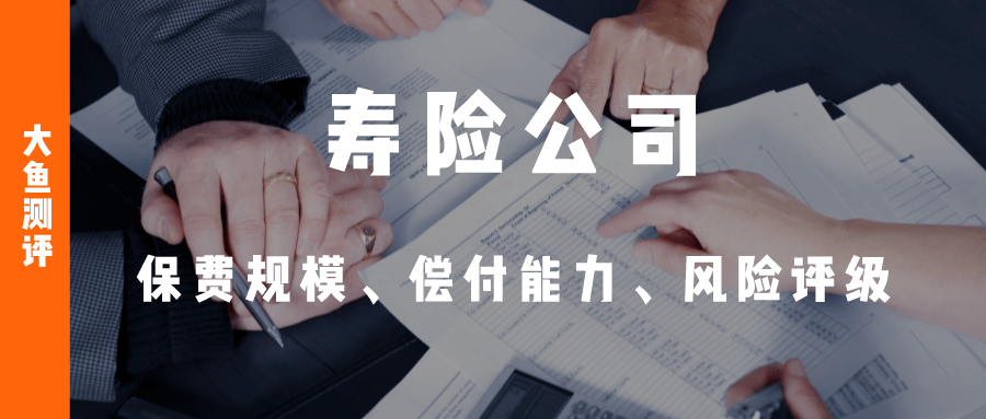 保险公司偿付能力排行_2022年保险公司偿付能力排行榜及风险评级