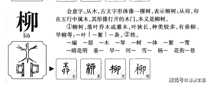 柳字说文解字原文:小楊也。从木戼聲。柳字详解:柳字繁体字:柳柳字部