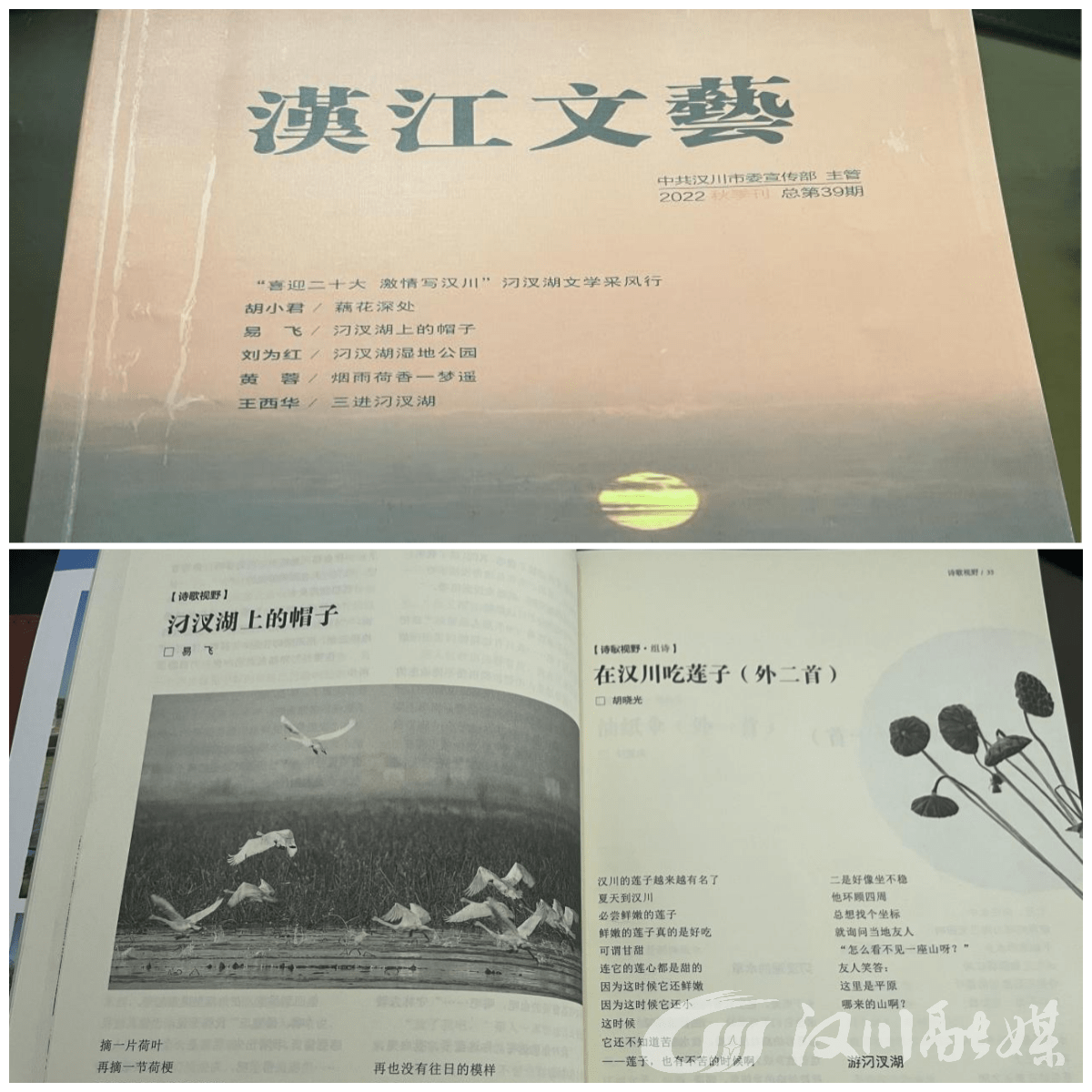 汉川市做家协会到汈汊湖国度湿地公园展开实地调研、拍摄写生