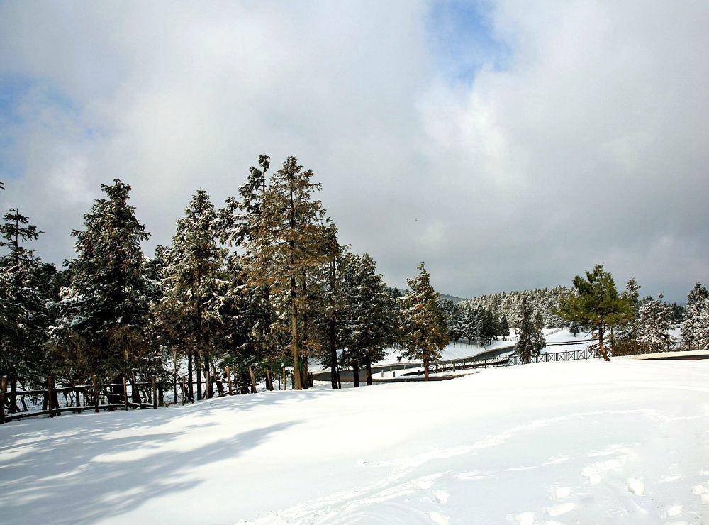 重庆仙女山的冬季-北国风光，保举几个拍雪景的处所