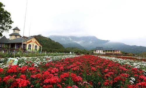 罗浮山那里花开主题公园，一个不容错过的景点