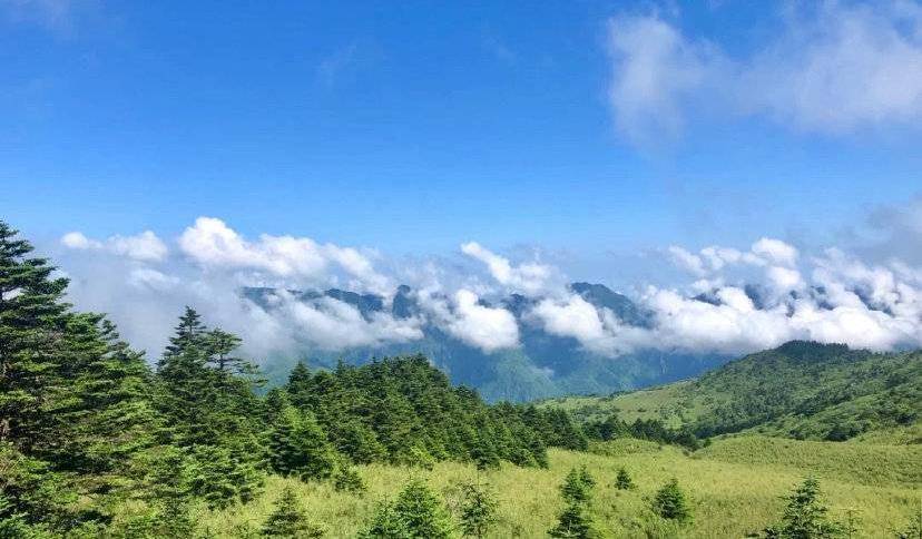 我国最美的湿地，轻松碾压日本奈良？日本人：那不是抢我们饭碗？