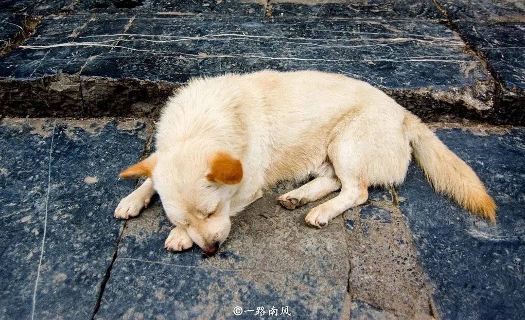 广西贺州好凶猛，不只是世界长命市，仍是中国温泉之乡