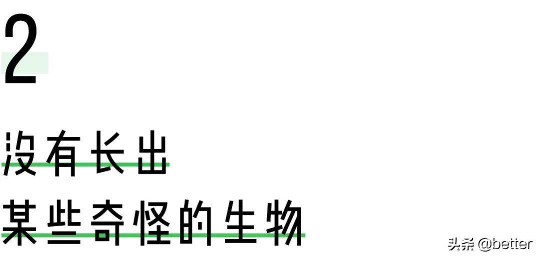 那届武汉高校返校生，推开宿舍门就像开盲盒