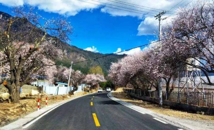 我们最“霸气”的公路，每年只时髦四个月，但去的人川流不息