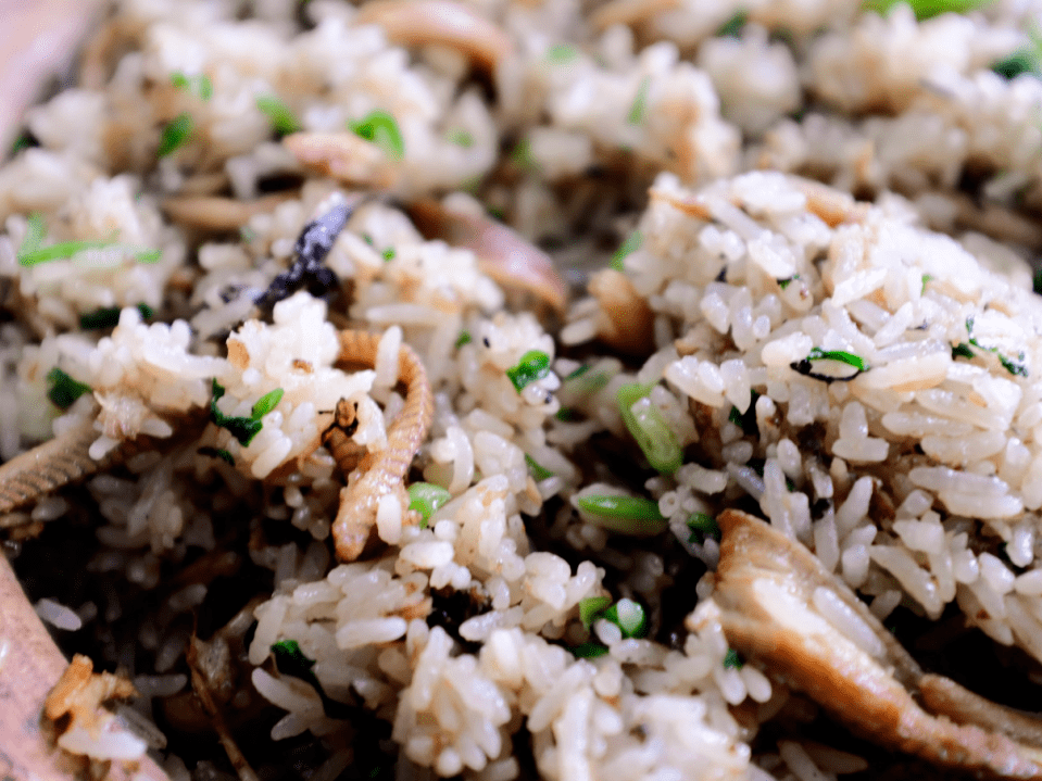 ԭ������쭡����������ĵģ���������С���Ǳ��͹������� ...