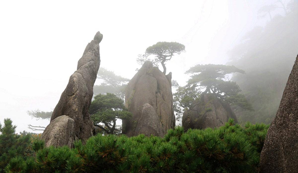 三清山：奇峰怪石、古树名花、流泉飞瀑、云海雾涛