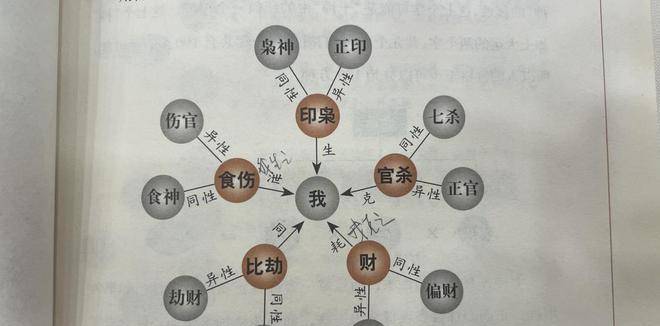 八字算命必需掌握的根本常识相生相克十神人元四墓库篇