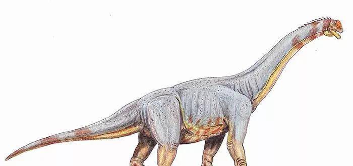 ����������ͼƬ�ͼ�飨����