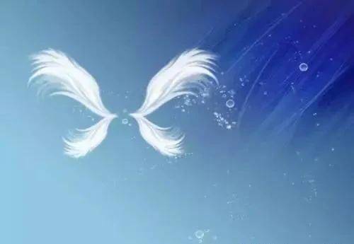 爱的羽翼,梦中双鸟——解析爱情与自由的象征 爱的羽翼,梦中双鸟——解析爱情与自由的象征