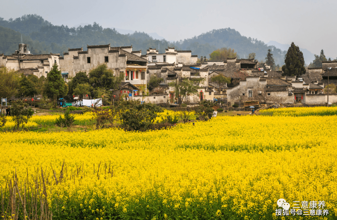 “黄山归来不看岳” 游黄山住准4星级酒店6天5晚包罗三餐