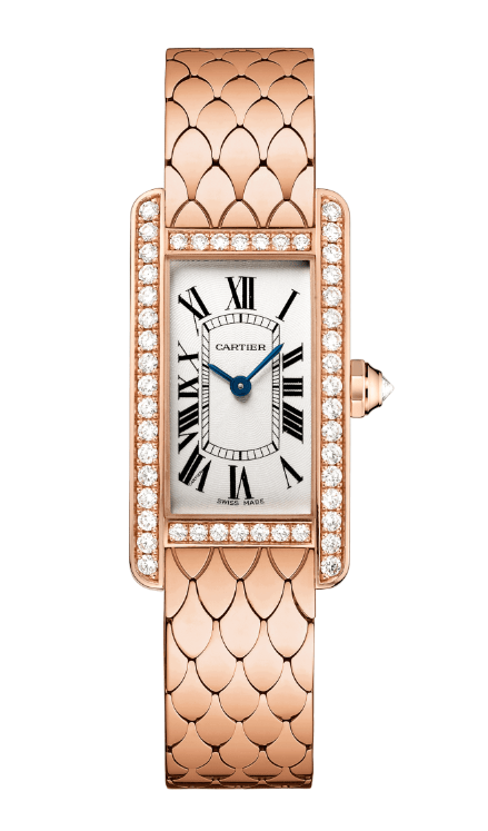 2022Ů�����õ����Ϊ�㾫ѡ10���ֱ�