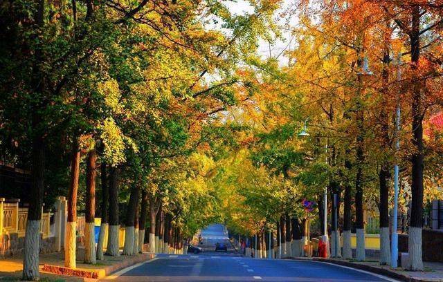 �й���������֮һ���С������������ݡ��ļ������ο�ֱ���� ...