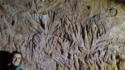 ��������һ��13000��ǰ���������������أ�ʷѧ�ң������� ...