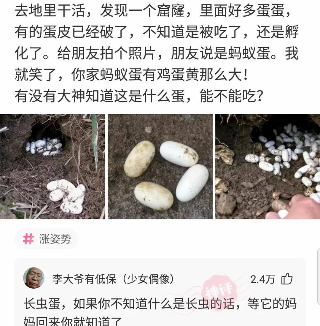 那是电子显微镜下蚂蚁的脸，有没有什么想说的？细思极恐啊