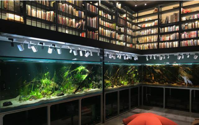 ���١���ɱ���������ˣ�����������������ͨ�˻������