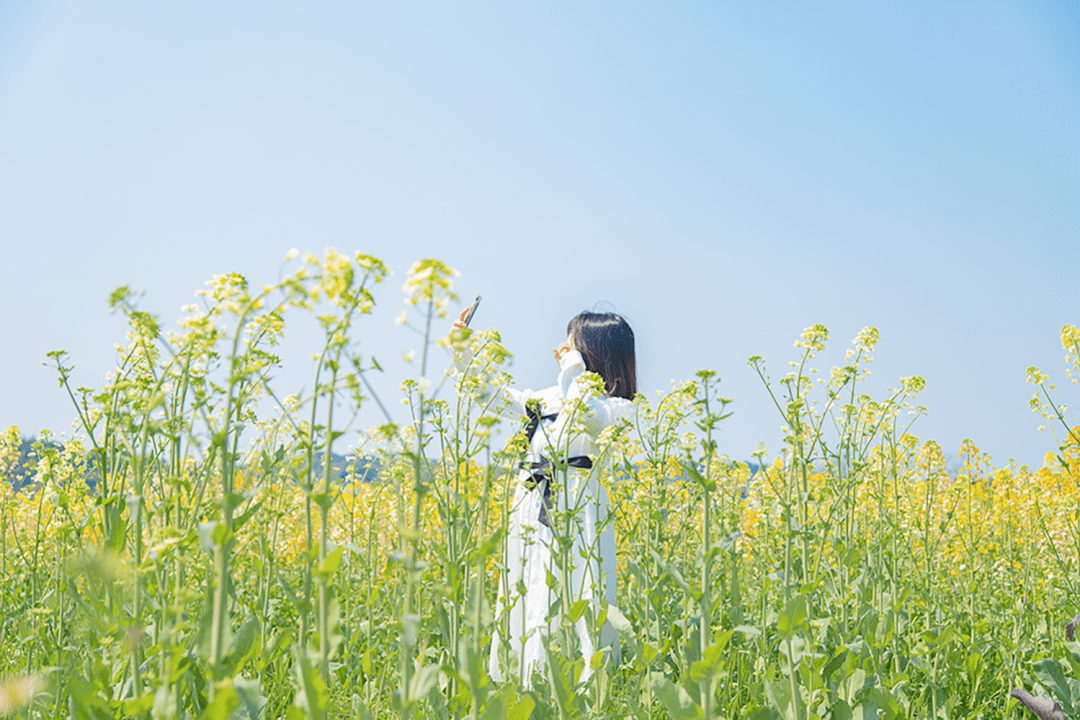 摆设！女神节组团畅玩星沙，奔赴春天的所有美妙~