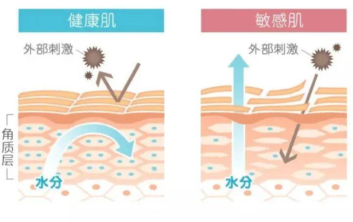 敏感肌春日保存指南！赶走春日危“肌”，把“脸红”留给心动