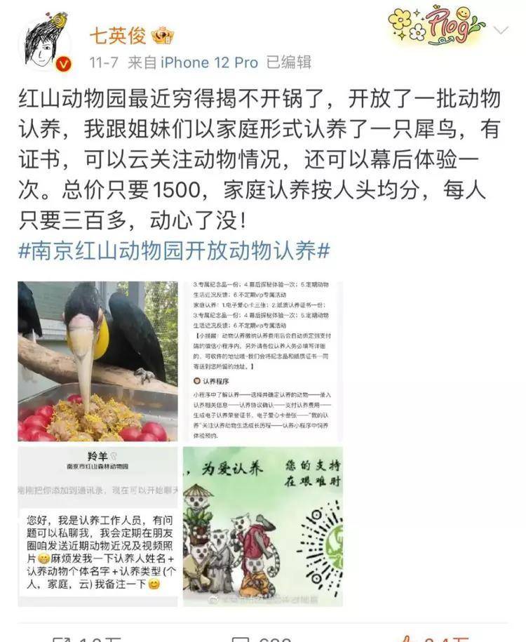 国宝丫丫熊猫受虐多年，幕后“黑手”被扒出！本来早就劣迹斑斑