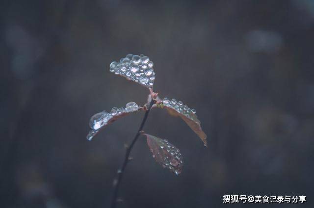 今日立秋，立秋呈现打雷下雨，有什么征兆吗？看看前人留下的谚语