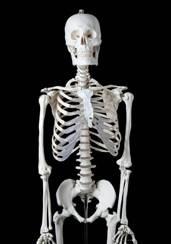 �����������ʬ��Ϊ�λ���ʬ��Ұ������������Ԥı�������� ...