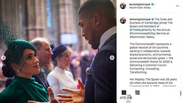 Ӣ�����ռ���ͬ��÷��������Ц���к�������������Į�� ...