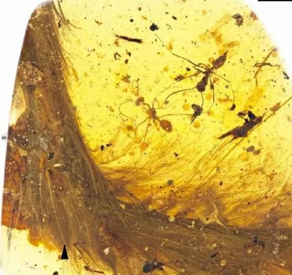 �����ս���У����غ��鱦�̣�������ȫ���׸��������껯ʯ ...