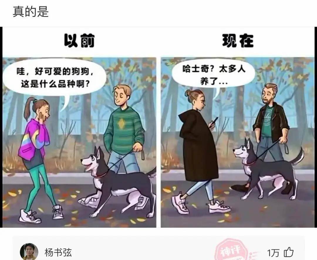 爆笑图集：谁来解释下如许的衣服事实是有什么用呢？