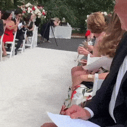 苹果版崽崽国际服怎么下载:搞笑GIF：金毛汪参加铲屎官的婚礼，一出场就是全场最靓最快乐的仔