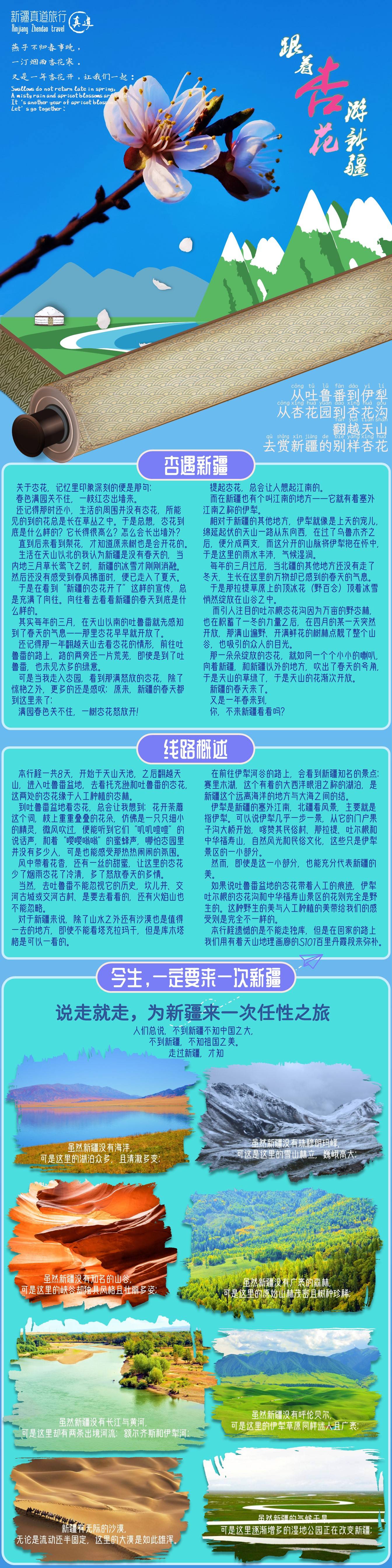 新疆的杏花要开了，从吐鲁番到伊犁的8天7晚，想看杏花能够如许走