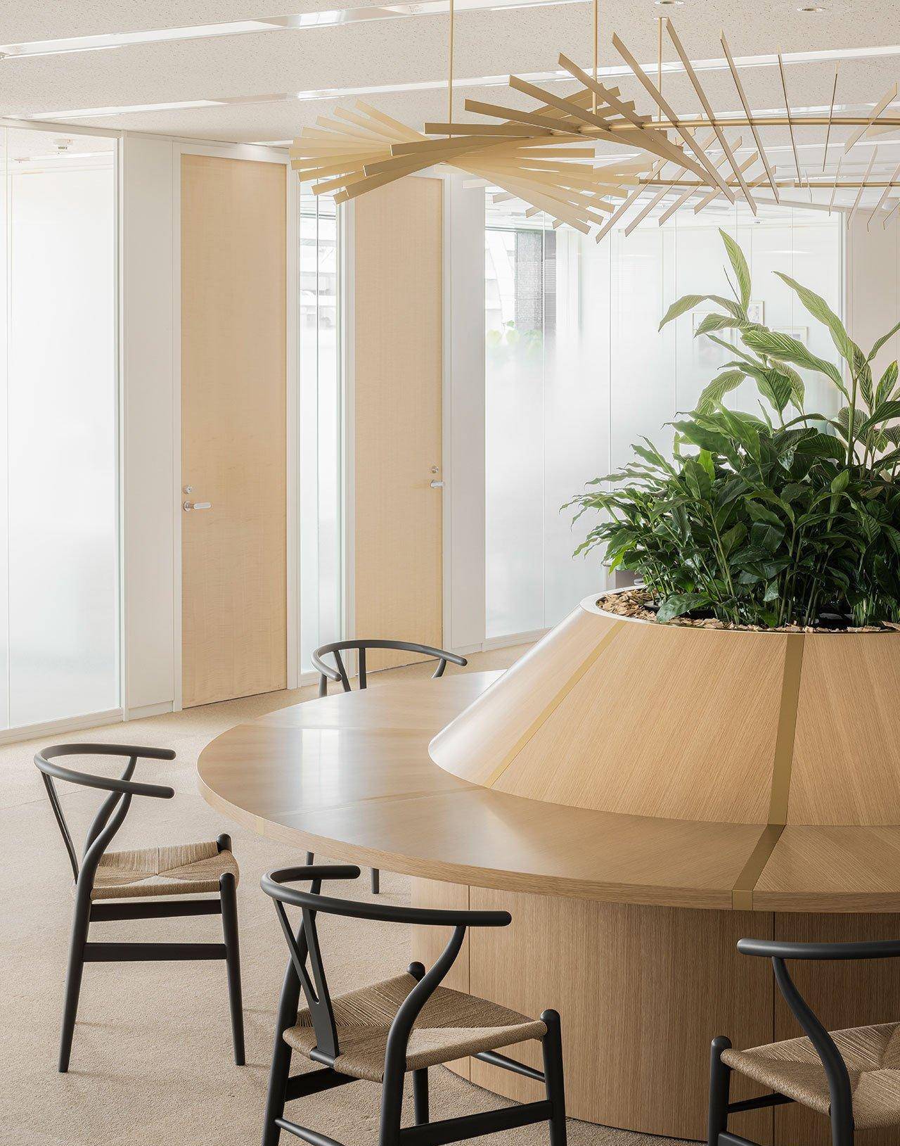 �����Ƕ����ܲ�