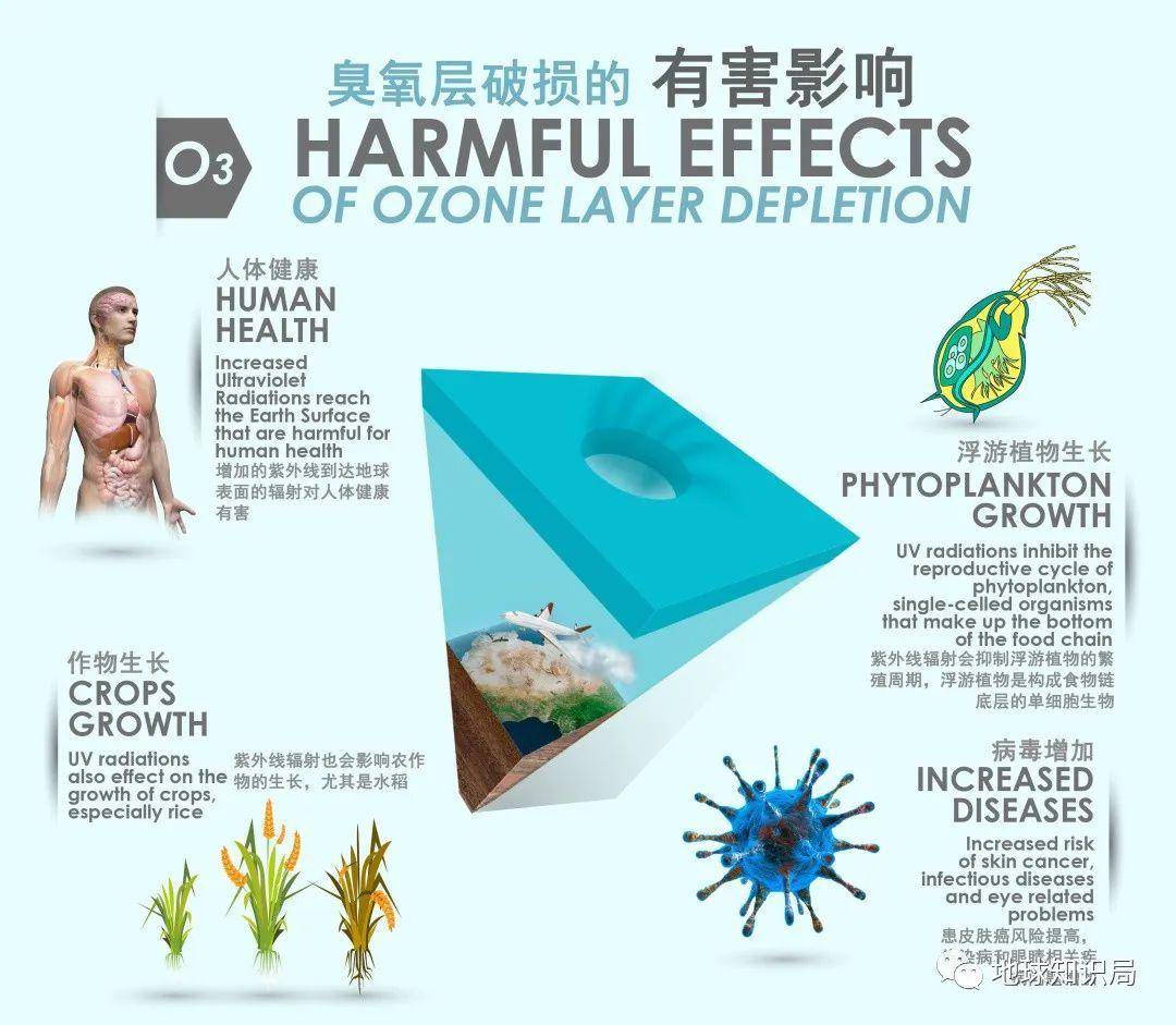 ��ת�ˣ������շ����ڱ�С��| ����ѧ�ʾ�