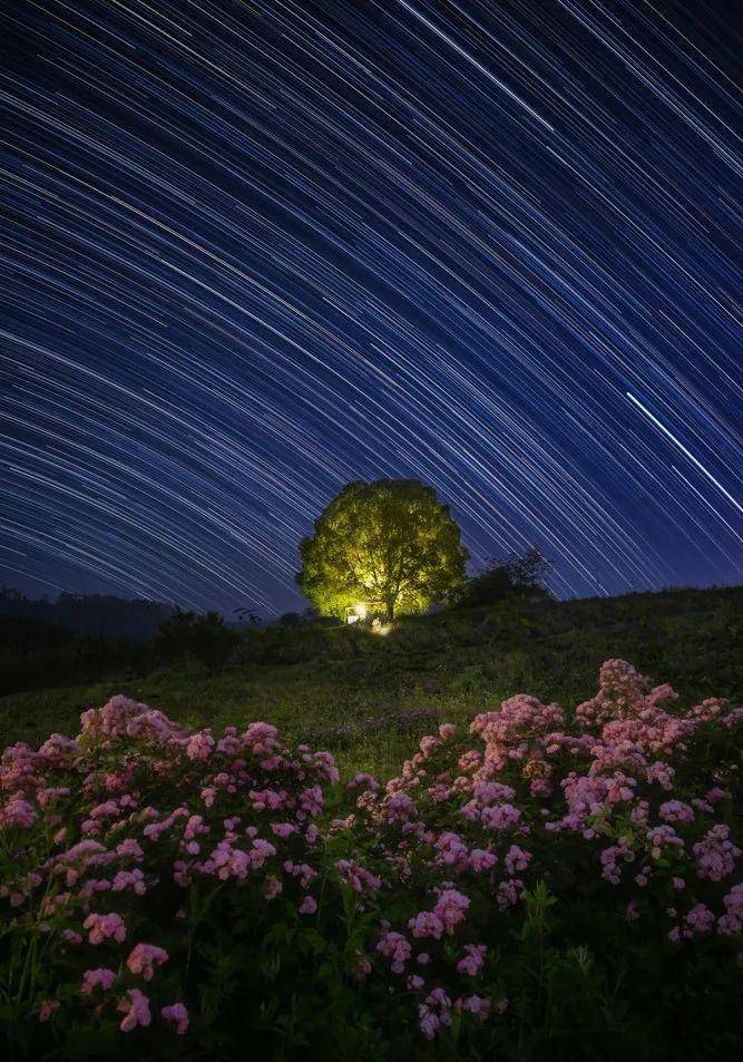 致敬星光女神，那些就是她们摘下的星星