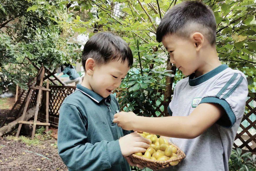 萌值爆表！小伴侣超爱的生长乐园，一路摘柚子、孵小鸡……