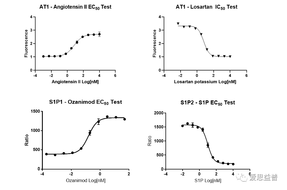 ����������֮GPCR�е������������Ӱ��