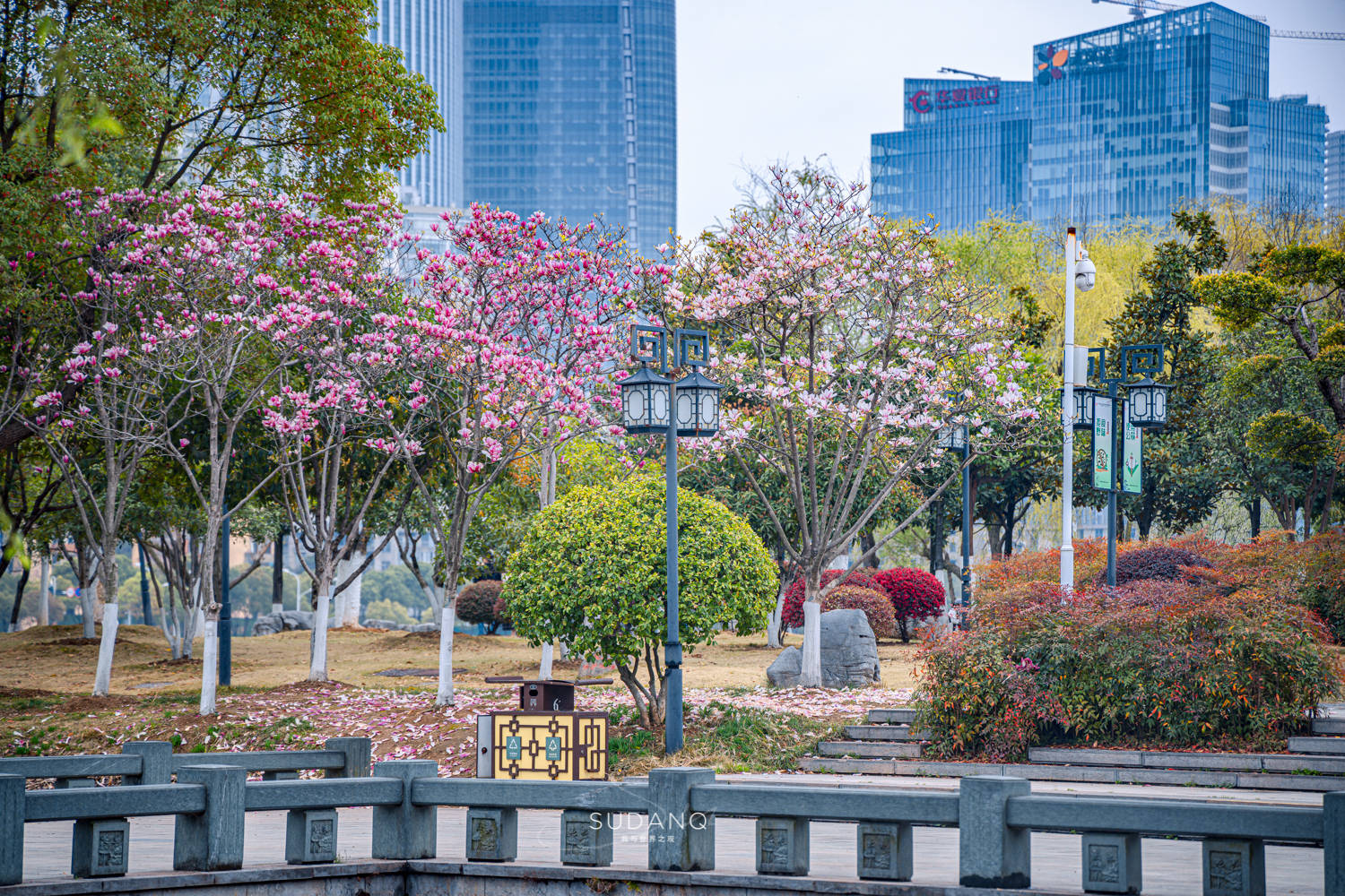 武汉市更大的城中湖湿地公园，竟然不是东湖？曾经的沙湖事实多大