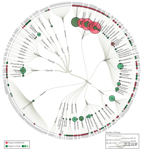 ����������֮GPCR�е������������Ӱ��