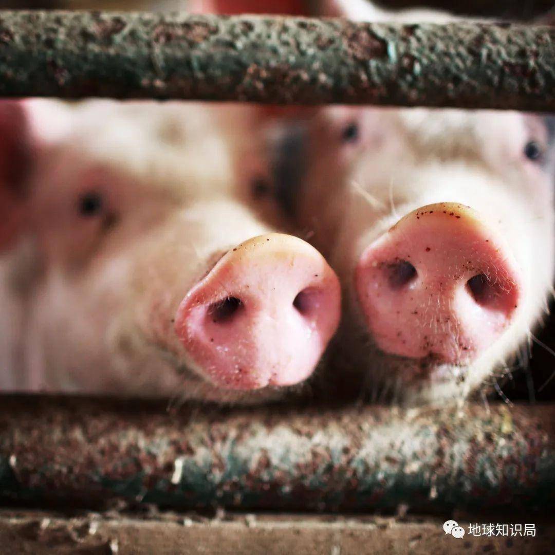 Ϊʲô����Ȧ��ô���ˡ��ס��ˣ�| ����ѧ�ʾ�