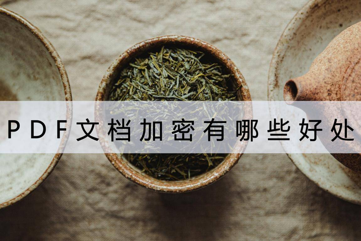 PDF文档加密有哪些好处？用它给文件加密