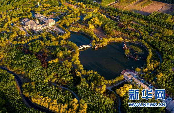 开云体育 kaiyun.com 官网入口武清入选全国休闲农业重点县名单 全力谱写乡村振兴新篇章(图3)