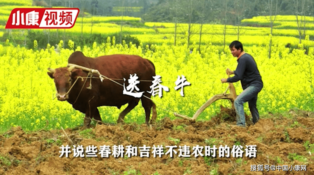 【节气】今日春分：动静寒温共相济，阴阳平衡百病消